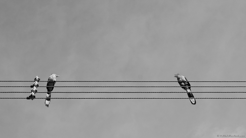 Studio-One.Art.br Repo Fotografia em Rio Preto SP/Brasil