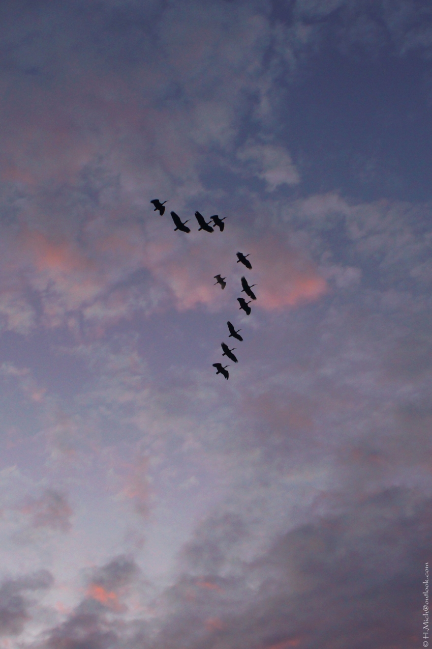 Studio-One.Art.br Repo Fotografia em Rio Preto SP/Brasil