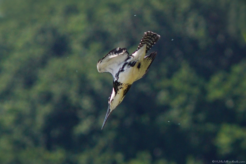 Studio-One.Art.br Repo Fotografia em Rio Preto SP/Brasil