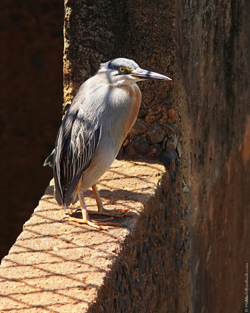 Studio-One.Art.br Repo Fotografia em Rio Preto SP/Brasil