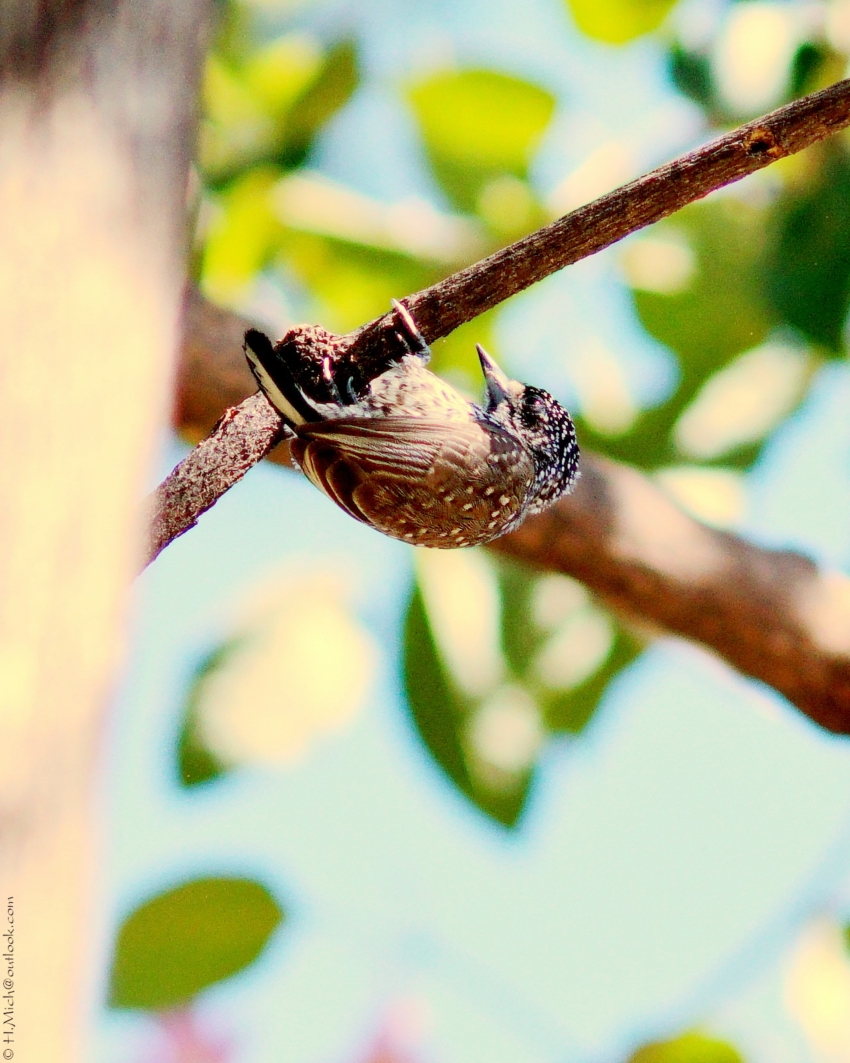 Studio-One.Art.br Repo Fotografia em Rio Preto SP/Brasil