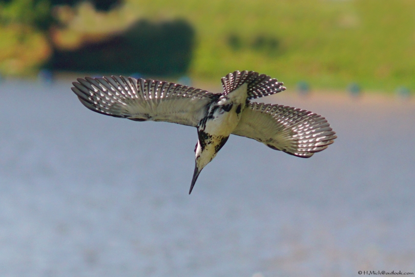 Studio-One.Art.br Repo Fotografia em Rio Preto SP/Brasil