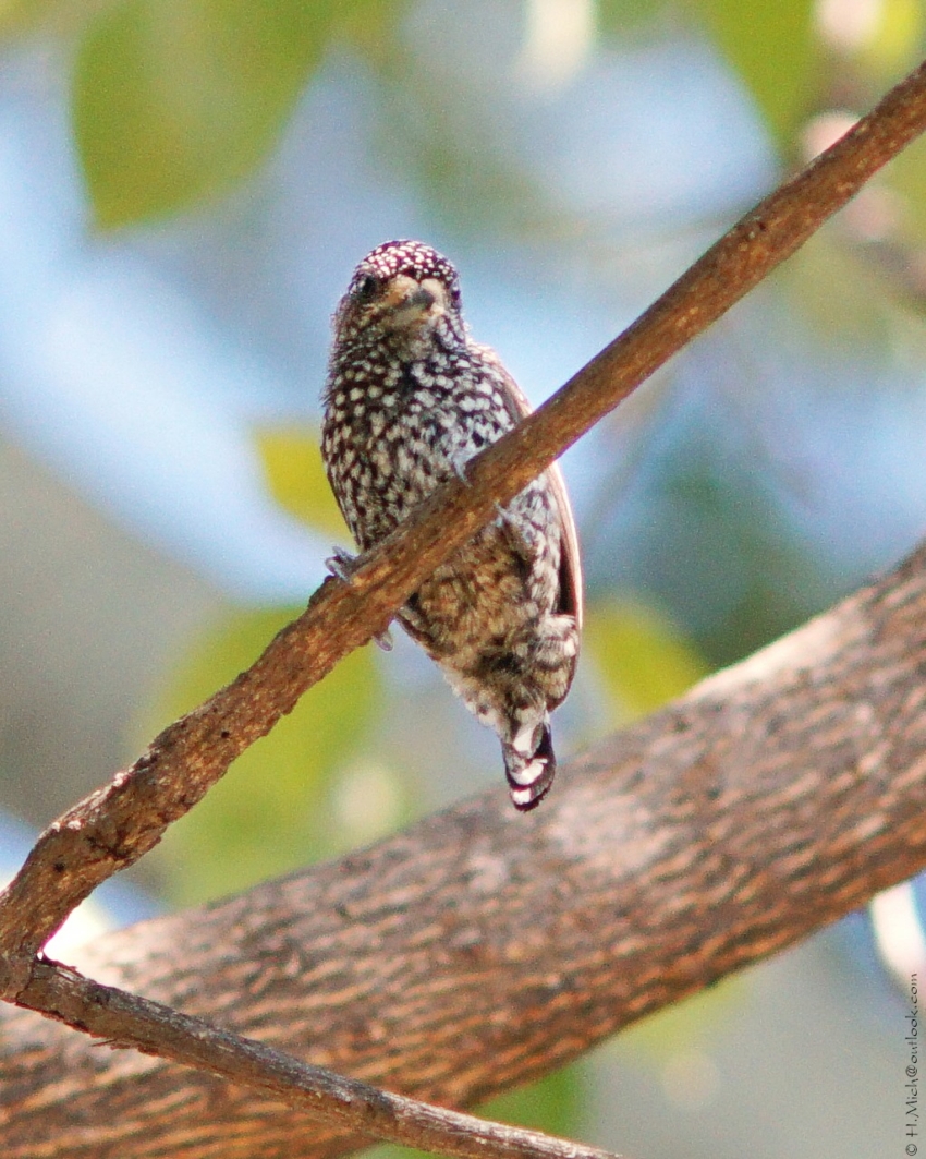 Studio-One.Art.br Repo Fotografia em Rio Preto SP/Brasil