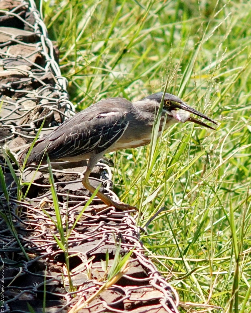 Studio-One.Art.br Repo Fotografia em Rio Preto SP/Brasil