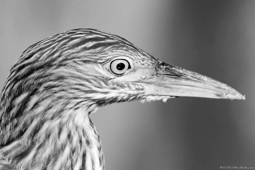 Studio-One.Art.br Repo Fotografia em Rio Preto SP/Brasil