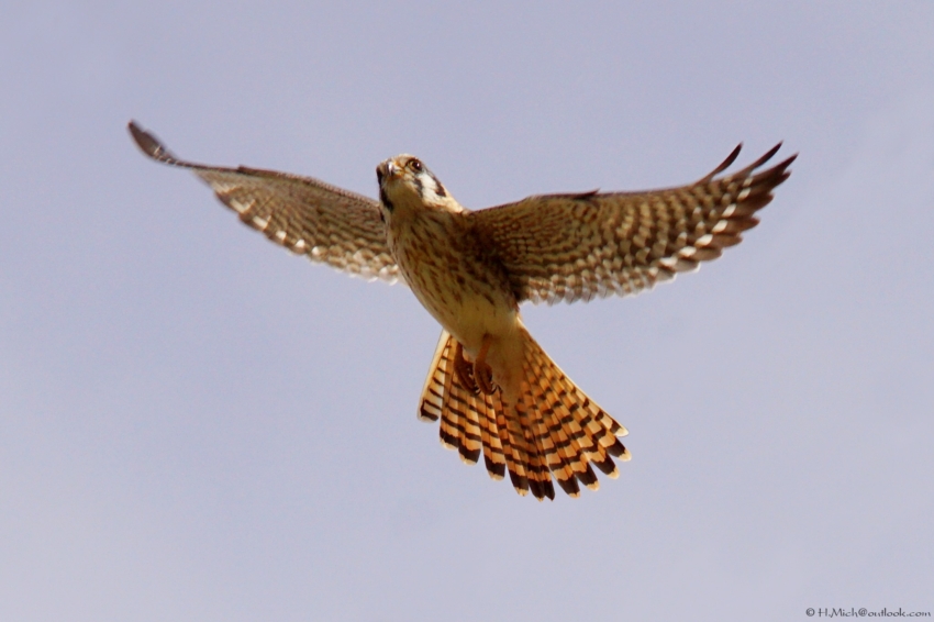 Studio-One.Art.br Repo Fotografia em Rio Preto SP/Brasil