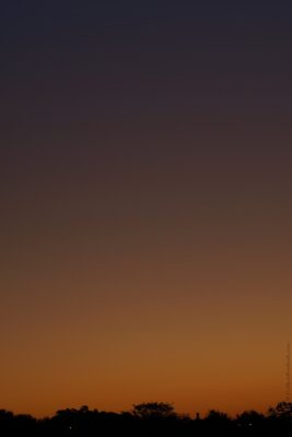 2022 06 15(48)