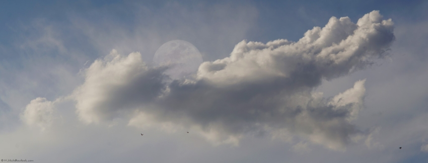 Studio-One.Art.br Repo Fotografia em Rio Preto SP/Brasil