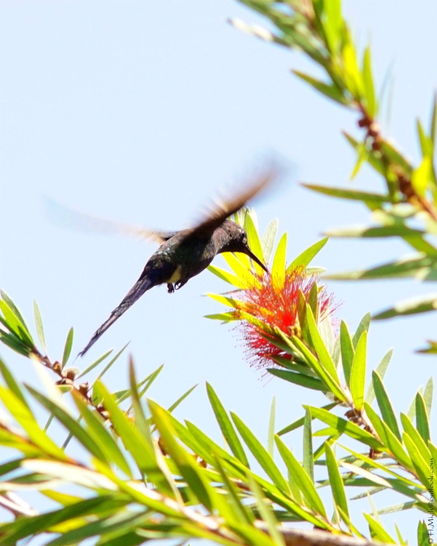 Studio-One.Art.br Repo Fotografia em Rio Preto SP/Brasil