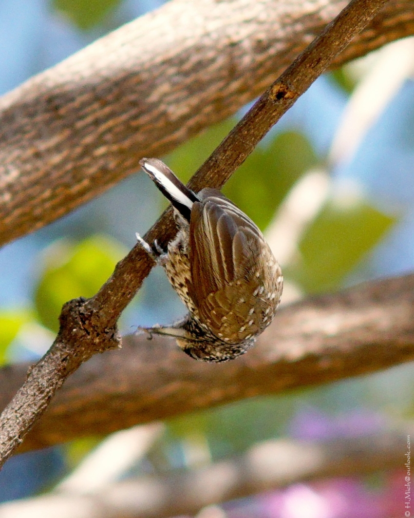 Studio-One.Art.br Repo Fotografia em Rio Preto SP/Brasil
