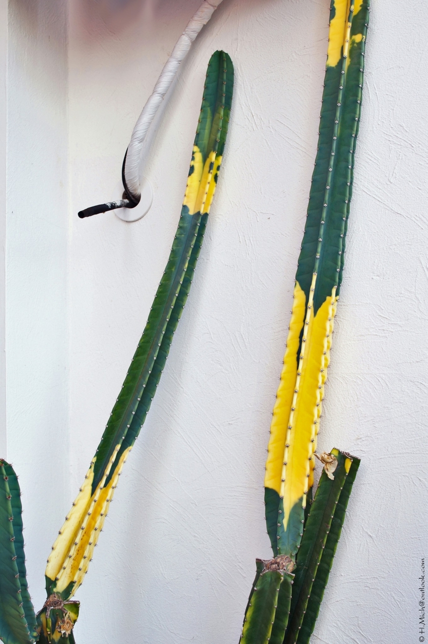 Studio-One.Art.br Repo Fotografia em Rio Preto SP/Brasil