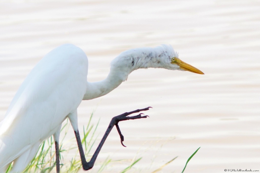 Studio-One.Art.br Repo Fotografia em Rio Preto SP/Brasil