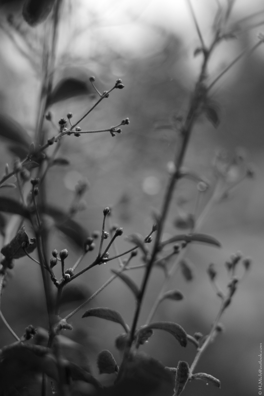 Studio-One.Art.br Repo Fotografia em Rio Preto SP/Brasil