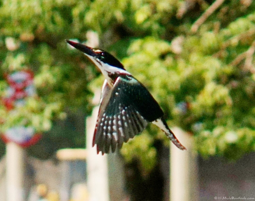 Studio-One.Art.br Repo Fotografia em Rio Preto SP/Brasil