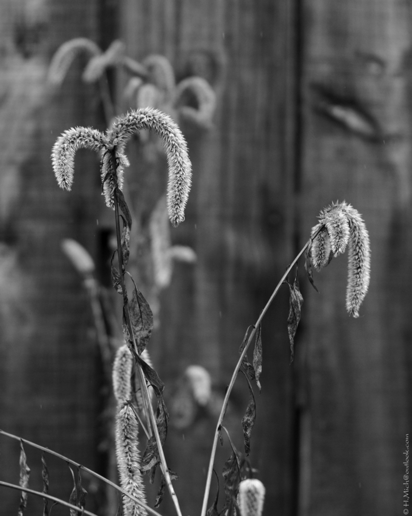 Studio-One.Art.br Repo Fotografia em Rio Preto SP/Brasil