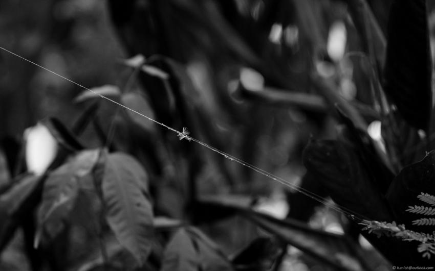 Studio-One.Art.br Repo Fotografia em Rio Preto SP/Brasil