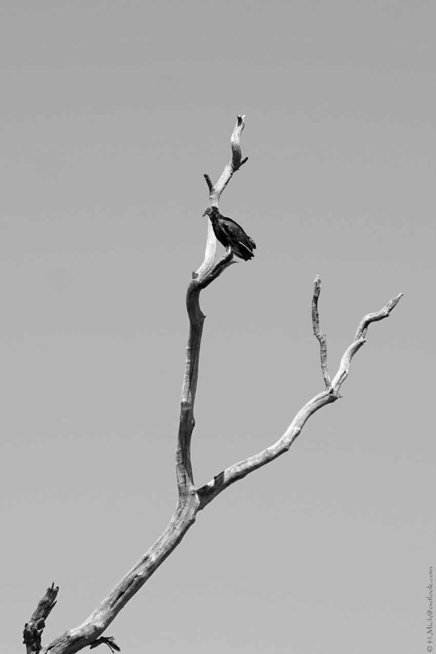 Studio-One.Art.br Repo Fotografia em Rio Preto SP/Brasil