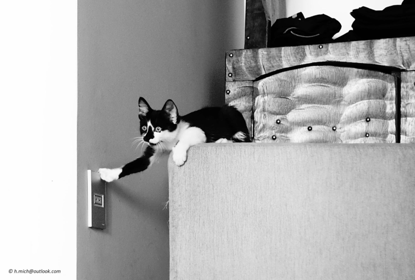 Studio-One.Art.br Repo Fotografia em Rio Preto SP/Brasil