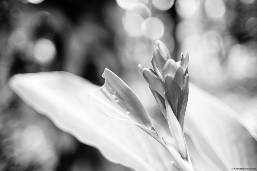 Studio-One.Art.br Repo Fotografia em Rio Preto SP/Brasil