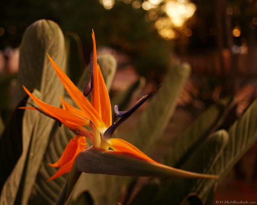 Studio-One.Art.br Repo Fotografia em Rio Preto SP/Brasil