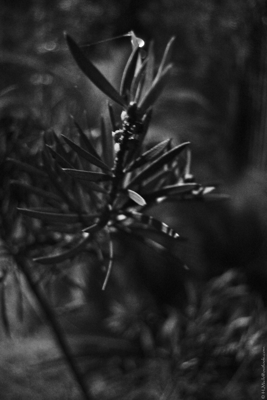 Studio-One.Art.br Repo Fotografia em Rio Preto SP/Brasil