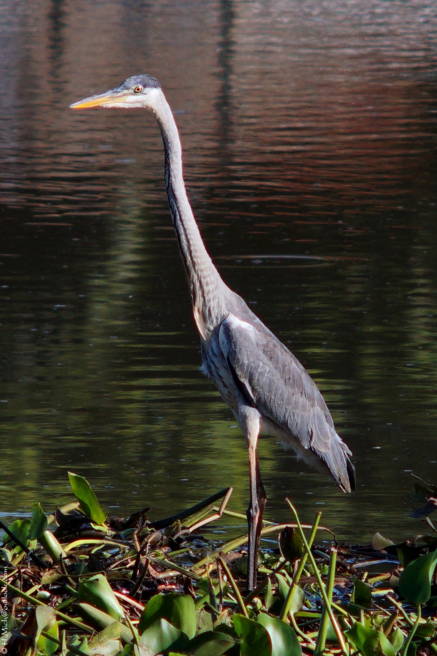 Studio-One.Art.br Repo Fotografia em Rio Preto SP/Brasil