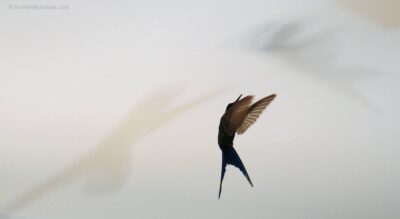 2022 06 15(493)