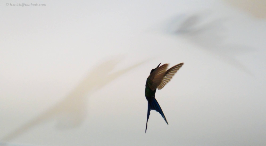 Studio-One.Art.br Repo Fotografia em Rio Preto SP/Brasil