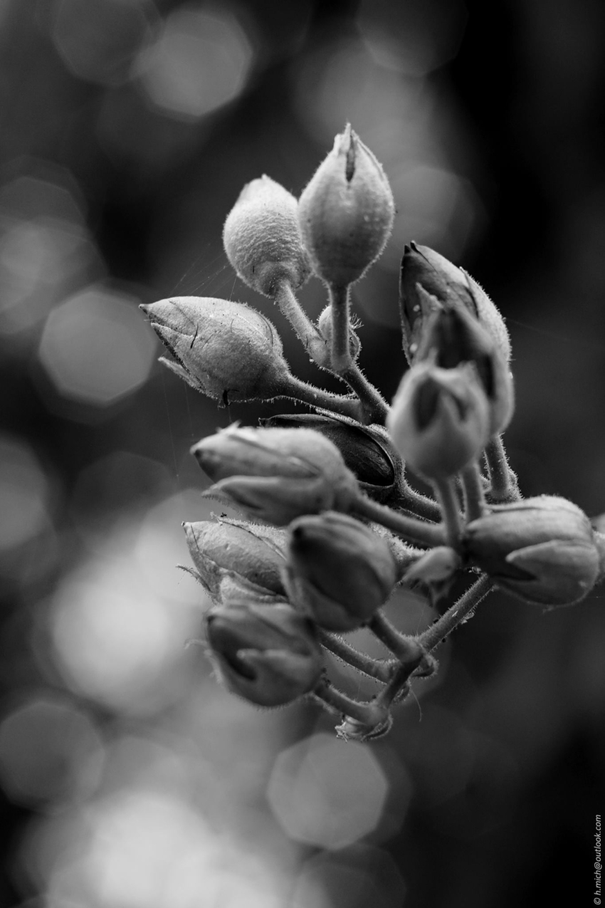 Studio-One.Art.br Repo Fotografia em Rio Preto SP/Brasil