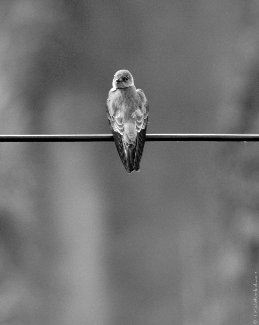 Studio-One.Art.br Repo Fotografia em Rio Preto SP/Brasil