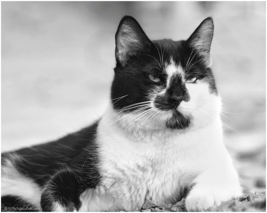 Studio-One.Art.br Repo Fotografia em Rio Preto SP/Brasil