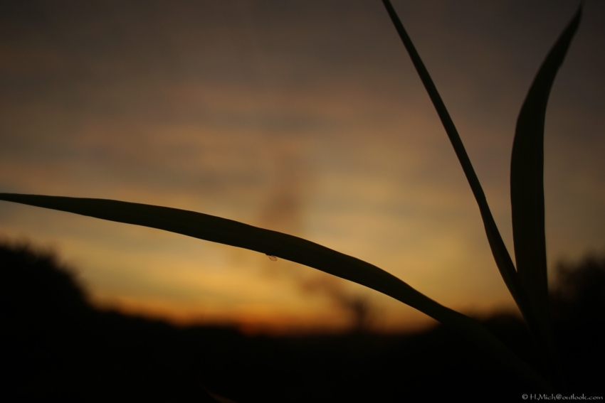 Studio-One.Art.br Repo Fotografia em Rio Preto SP/Brasil