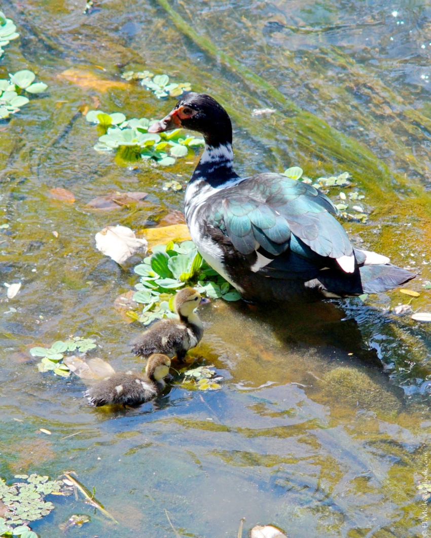 Studio-One.Art.br Repo Fotografia em Rio Preto SP/Brasil