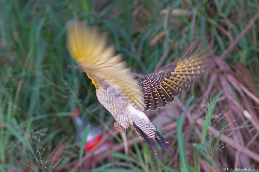Studio-One.Art.br Repo Fotografia em Rio Preto SP/Brasil