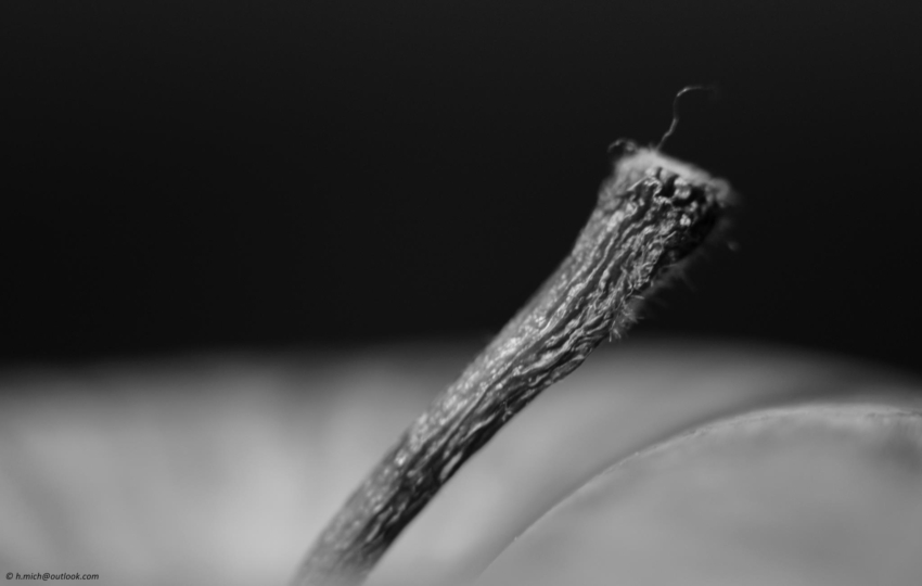 Studio-One.Art.br Repo Fotografia em Rio Preto SP/Brasil