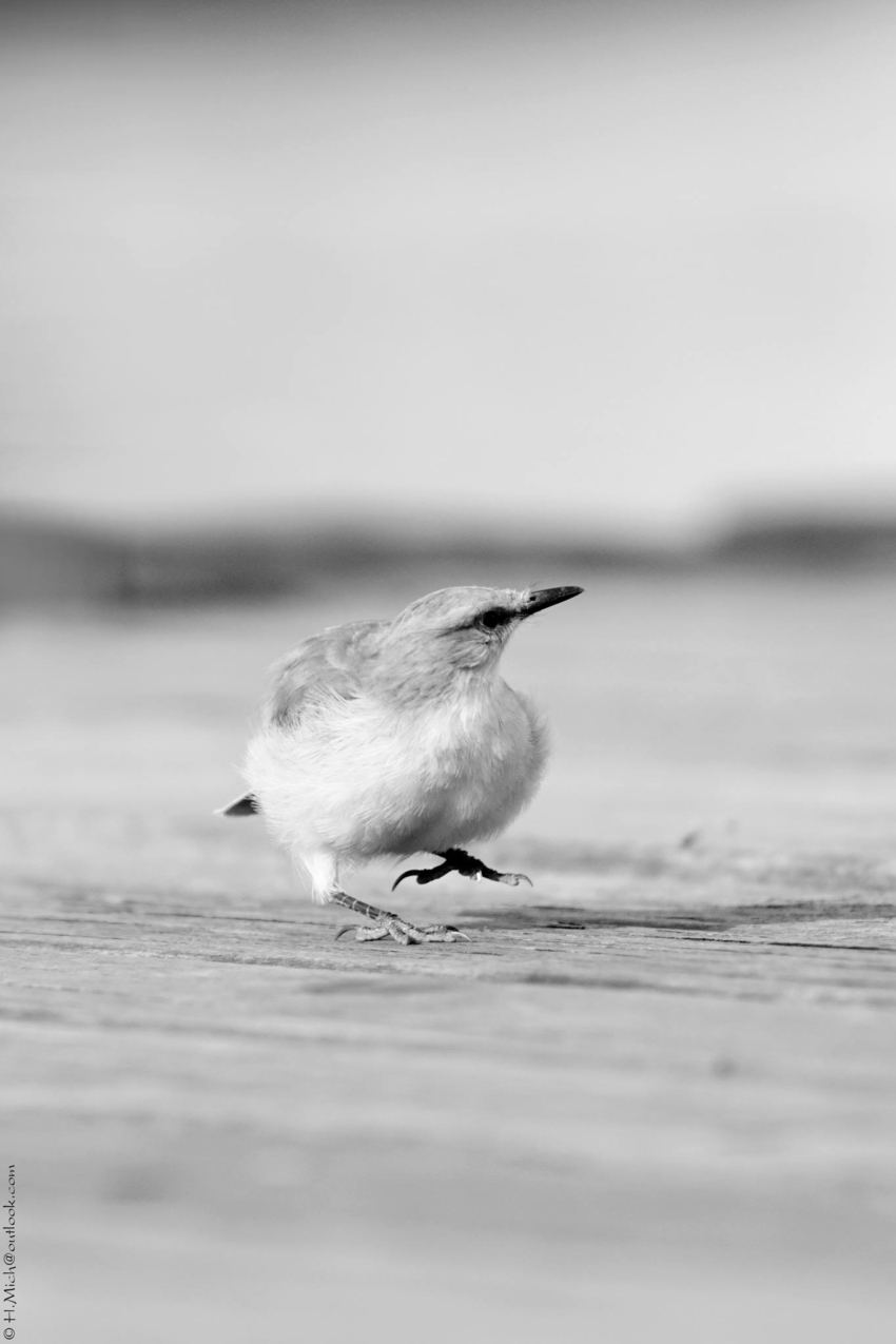 Studio-One.Art.br Repo Fotografia em Rio Preto SP/Brasil