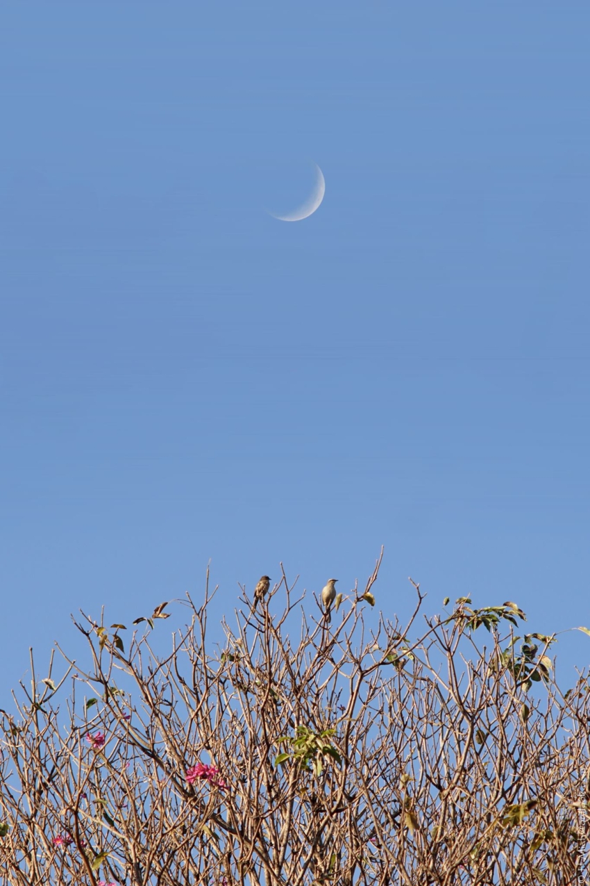 Studio-One.Art.br Repo Fotografia em Rio Preto SP/Brasil