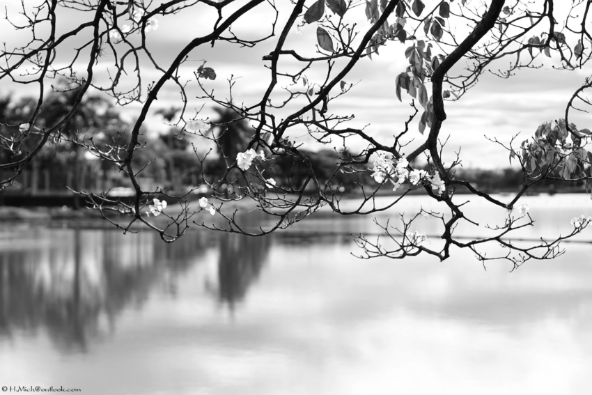 Studio-One.Art.br Repo Fotografia em Rio Preto SP/Brasil