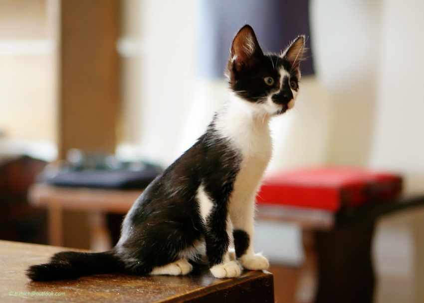 Studio-One.Art.br Repo Fotografia em Rio Preto SP/Brasil