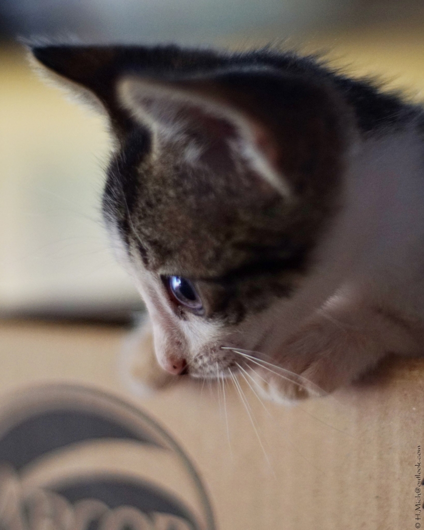 Studio-One.Art.br Repo Fotografia em Rio Preto SP/Brasil