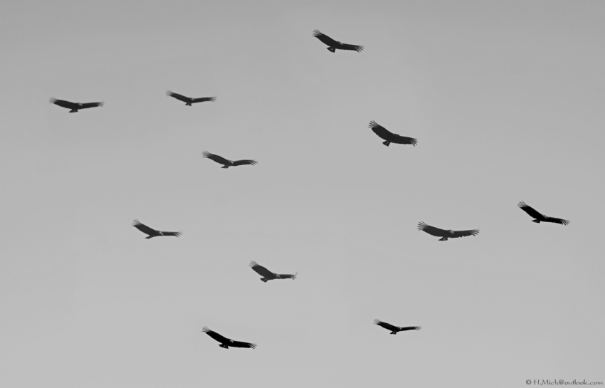 Studio-One.Art.br Repo Fotografia em Rio Preto SP/Brasil