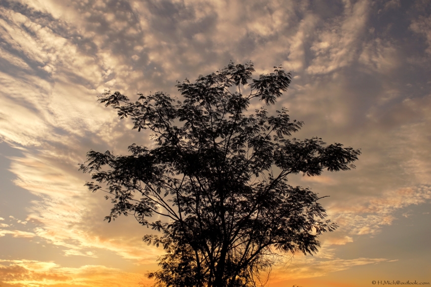 Studio-One.Art.br Repo Fotografia em Rio Preto SP/Brasil