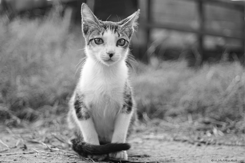 Studio-One.Art.br Repo Fotografia em Rio Preto SP/Brasil