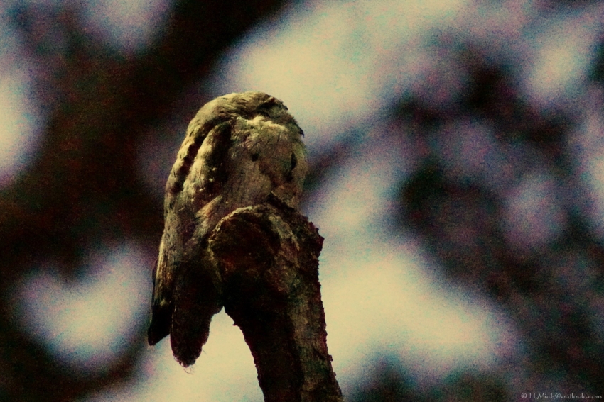 Studio-One.Art.br Repo Fotografia em Rio Preto SP/Brasil