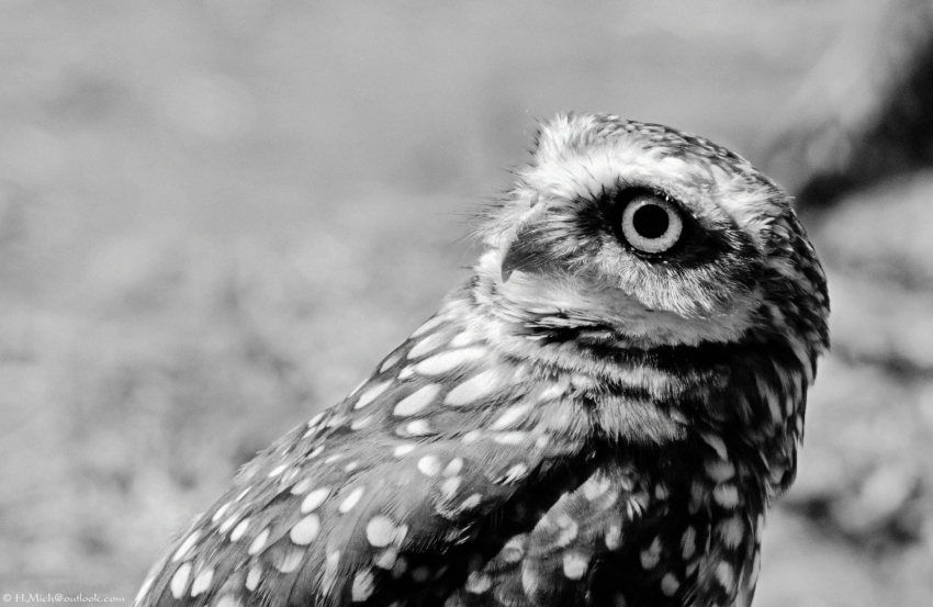 Studio-One.Art.br Repo Fotografia em Rio Preto SP/Brasil