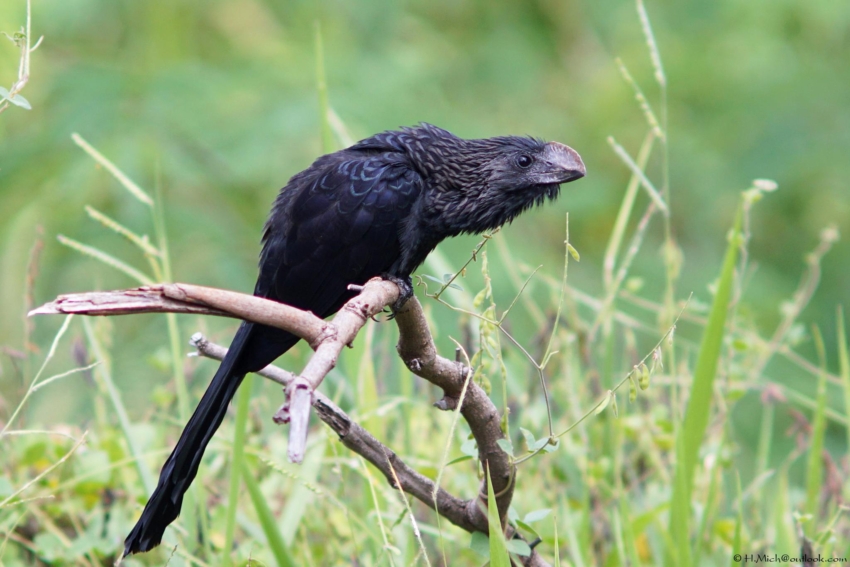Studio-One.Art.br Repo Fotografia em Rio Preto SP/Brasil