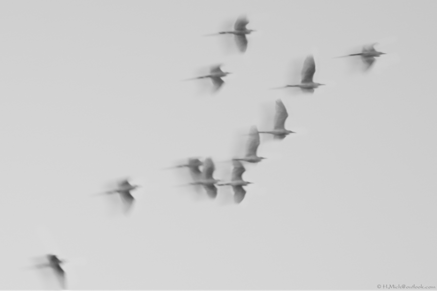 Studio-One.Art.br Repo Fotografia em Rio Preto SP/Brasil