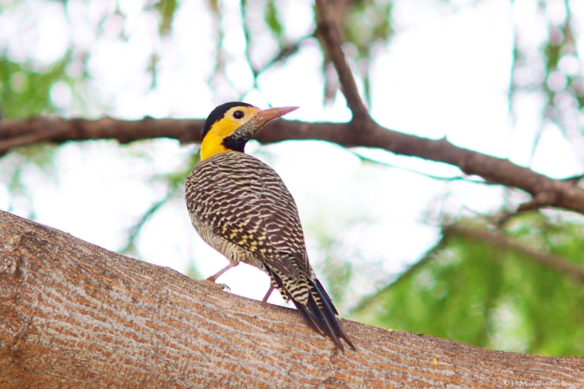 Studio-One.Art.br Repo Fotografia em Rio Preto SP/Brasil