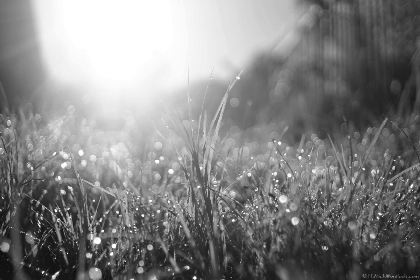 Studio-One.Art.br Repo Fotografia em Rio Preto SP/Brasil