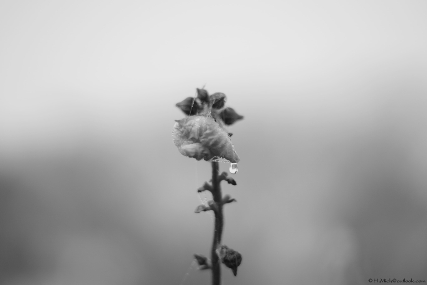 Studio-One.Art.br Repo Fotografia em Rio Preto SP/Brasil